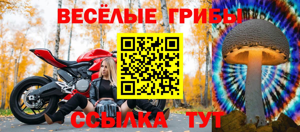 Псилоцибиновые грибы прущие грибы  Галлюциногенные грибы Magic Shrooms  Вход с VPN  Новочеркасск 